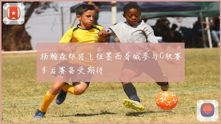 杨瀚森即将飞往墨西哥城参与G联赛季后赛备受期待